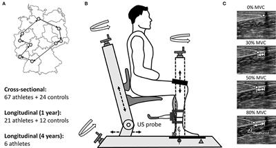 Monitoring Muscle-Tendon Adaptation Over Several Years of Athletic Training and Competition in Elite Track and Field Jumpers